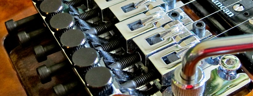 Doo I need a Floating Trem Floys Rose guitar