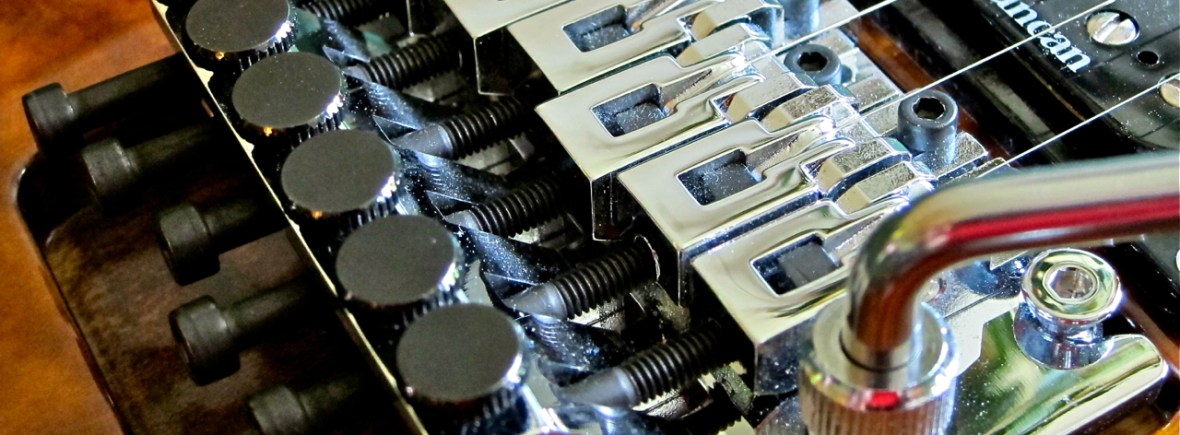 Doo I need a Floating Trem Floys Rose guitar